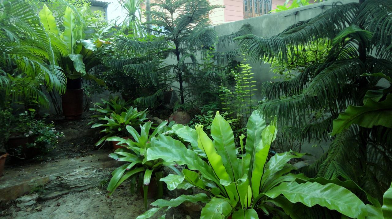 Moradok Thai Guesthouse Phra Nakhon Si Ayutthaya Ngoại thất bức ảnh